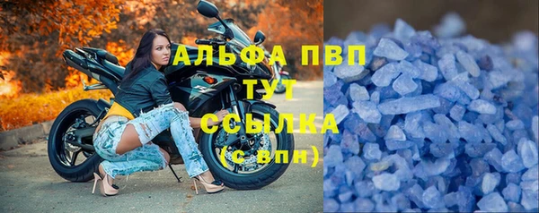 PSILOCYBIN Семёнов
