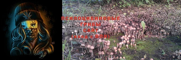 PSILOCYBIN Семёнов