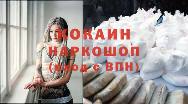 apvp Семилуки