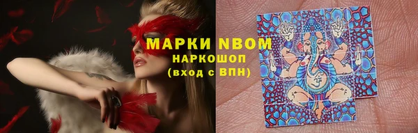 PSILOCYBIN Семёнов